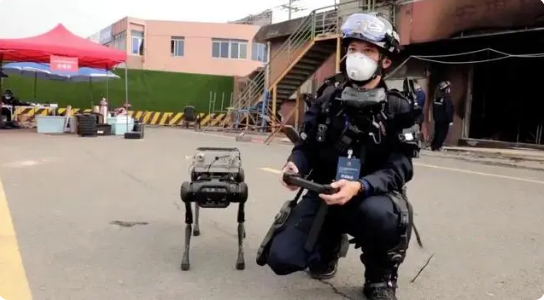 火災(zāi)-機器狗副本.png