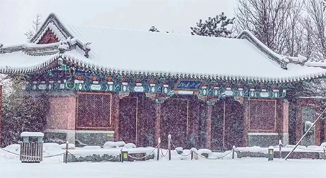 泰來三維| 冬天 冬雪  三維掃描，這邊風景獨好